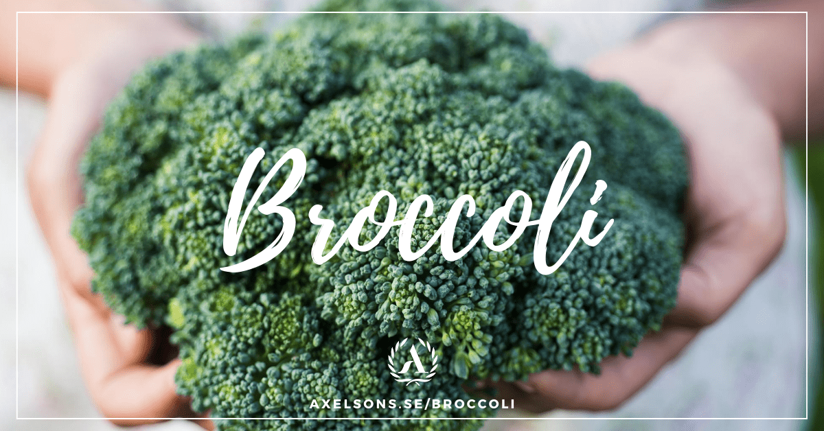 Broccoli - Allt du behöver veta och lite till