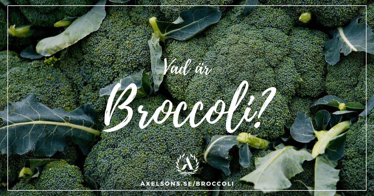 Vad är och hur växer broccoli