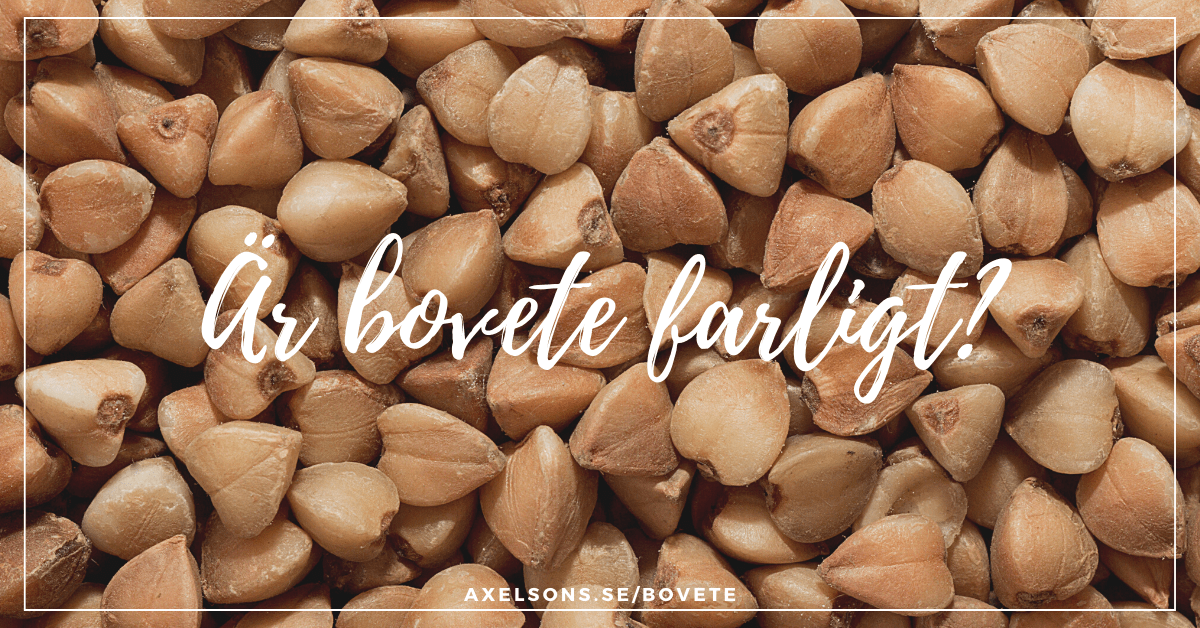Bovete farligt