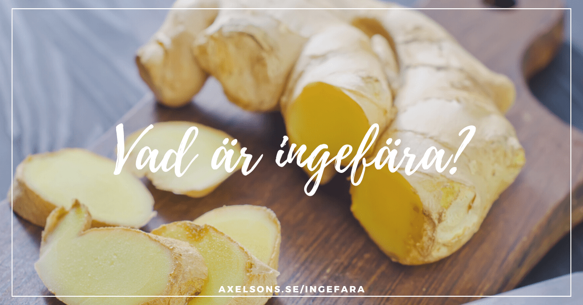 Vad är ingefära